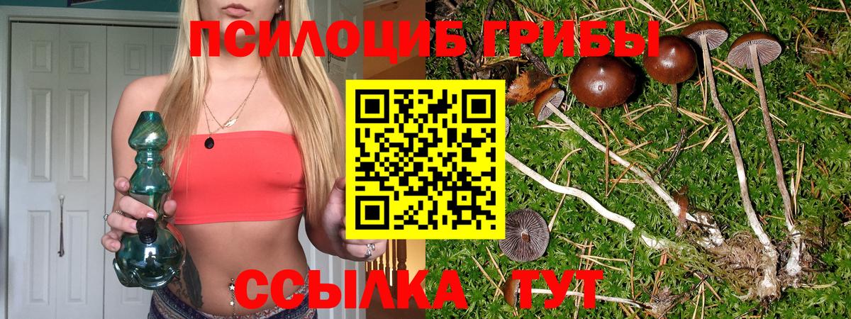 Галлюциногенные грибы Psilocybine cubensis  Вход с VPN  Симферополь 